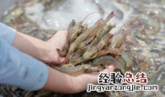 爆炸虾怎么做 爆炸虾怎么做最好吃