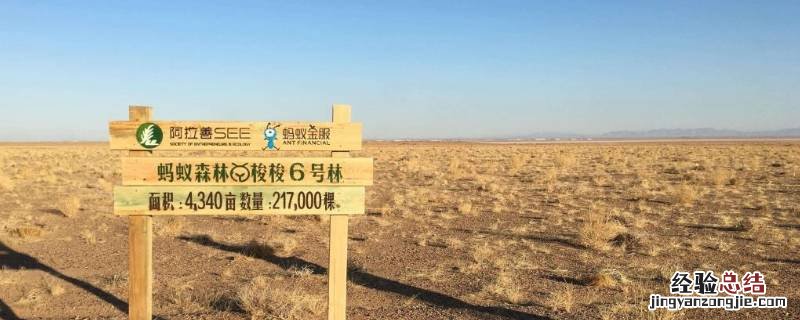 蚂蚁森林一共出了几块保护地 蚂蚁森林有几块保护地