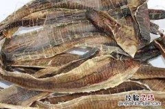 地龙干的作用与功效，地龙干的禁忌有哪些