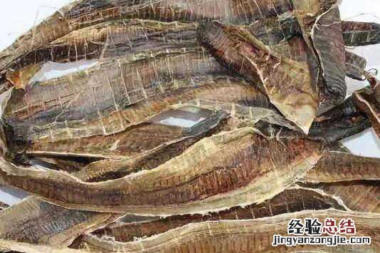 地龙干的作用与功效,地龙干的禁忌有哪些