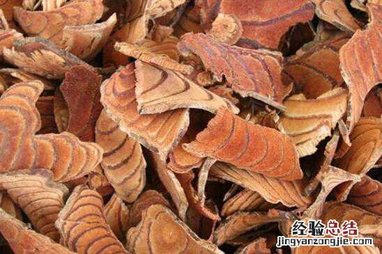 鸡血藤的功效与作用,鸡血藤的禁忌有哪些