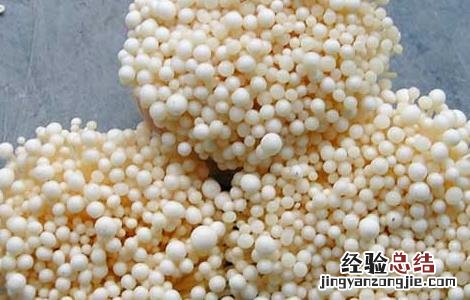 金针菇的保鲜技术 金针菇的保鲜技术视频