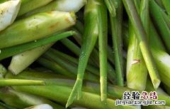 茭白的储藏方法 茭白贮藏保鲜方法有哪些呢?