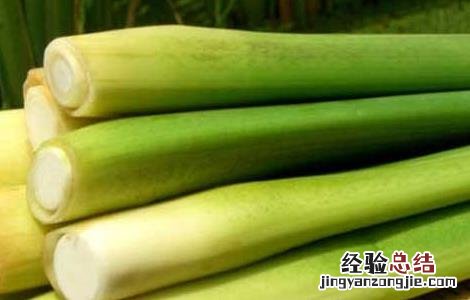 茭白的储藏方法 茭白贮藏保鲜方法有哪些呢?