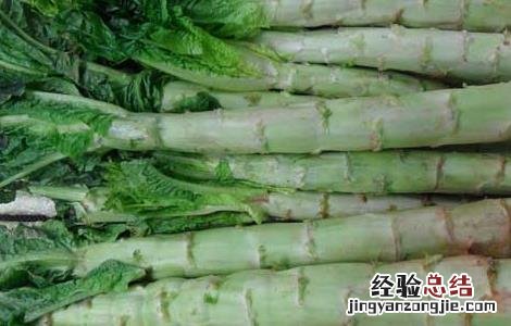 莴笋的产地分布 莴笋的原产地