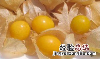 姑娘果可以放冰箱吗 菇娘果能放冰箱吗?