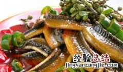 养鳝鱼是怎么样的 养鳝鱼最关键的时要注意什么