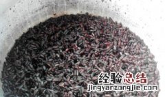 炒黑糯米怎么做 炒黑糯米怎么做好吃窍门