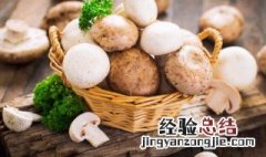 在夏季的尾巴上食用青头菌的好处