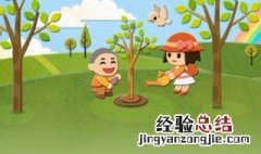 植树造林的公益用语怎么写 植树造林的公益用语