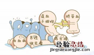 脐带血有必要保存吗 脐带血有必要保存吗每年多少钱