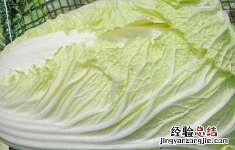 大白菜的产地分布有哪些 大白菜产地在什么地方
