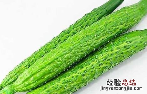 阳台黄瓜种植技术与管理方法 阳台黄瓜种植技术