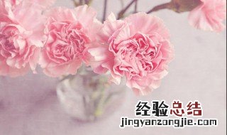 康乃馨水养还是土养 康乃馨士养还是水养