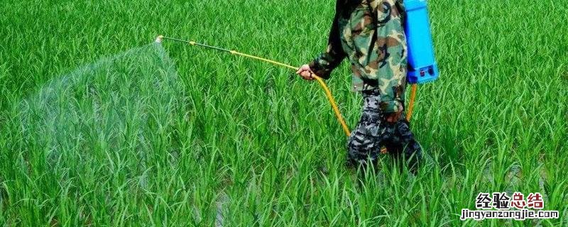 打除草剂的噴霧器怎样清洗 去除噴霧器里面的除草剂农药方法