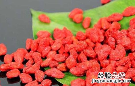 枸杞子的产地都有哪些 枸杞的产地分布有哪些