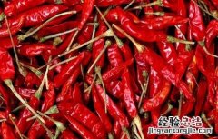 辣椒的产地是哪些地方 辣椒的产地是哪些地方好