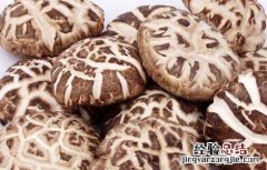 花菇与香菇的区别有哪些 花菇与香菇有什么区别