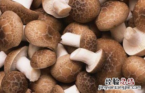 花菇与香菇的区别有哪些 花菇与香菇有什么区别