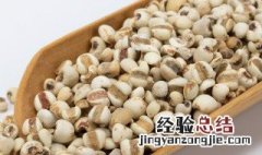 莲子粥里的薏米怎么弄 苡米莲子粥