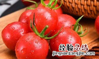 吃圣女果有什么好 圣女果适合什么人吃