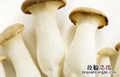 杏鲍菇的产地在哪里 杏鲍菇的产地是哪里