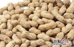 我国花生产地主要有哪些对方 我国重要的花生产地是哪里
