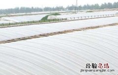 蔬菜大棚的建设技术 蔬菜大棚的建设技术要求