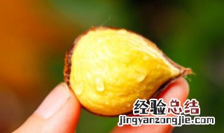 板栗红烧肉正宗做法窍门 板栗红烧肉低油版怎么做