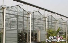 温室大棚的建设技巧 温室大棚的建设技巧有哪些
