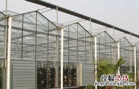 温室大棚的建设技巧 温室大棚的建设技巧有哪些