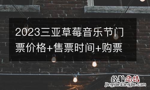 2023三亚草莓音乐节门票价格+售票时间+购票入口
