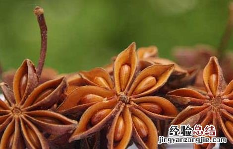 八角是什么科 八角是什么