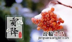 霜降的节气风俗有哪些 霜降的风俗是什么