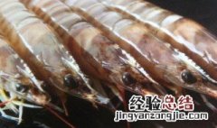 虾快死了怎么保存 虾快死的时候是什么样?