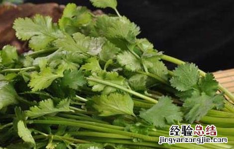 香菜种植技术 香菜种植技术和时间