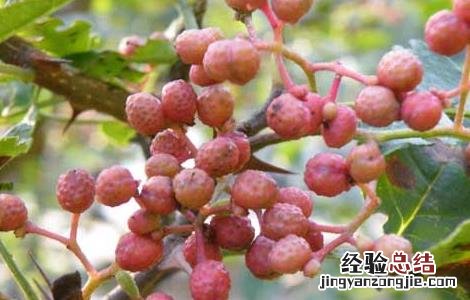 花椒水泡脚的好处 晚上花椒水泡脚的好处