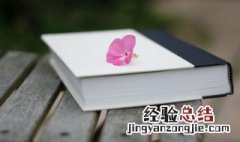 技字组词是什么 技字组词