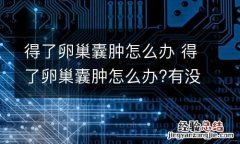 得了卵巢囊肿怎么办 得了卵巢囊肿怎么办?有没有好的调理