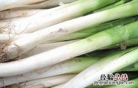 大葱的高效栽培技术 大葱的高效栽培技术是什么
