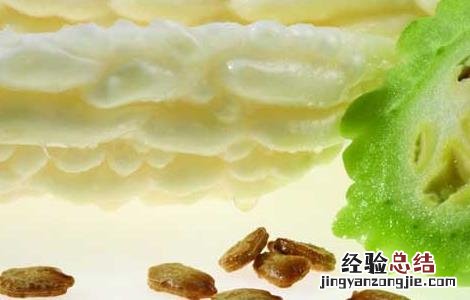 苦瓜种子的催芽方法是什么 苦瓜种子的催芽方法