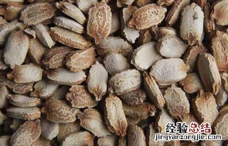 苦瓜种子的催芽方法是什么 苦瓜种子的催芽方法