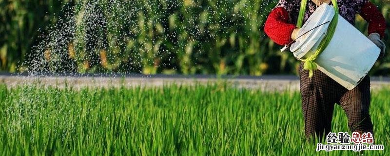 精喹禾灵与高效氟吡混用效果 高效氟吡甲禾灵和精喹禾灵的区别