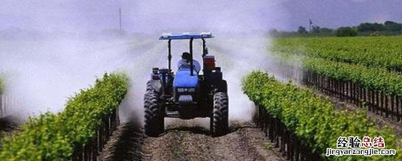 兰花叶面肥喷施注意事项 叶面肥喷施注意事项