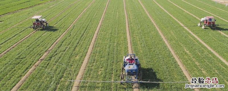 安达星除草剂有药害吗 安达星除草剂用法用量