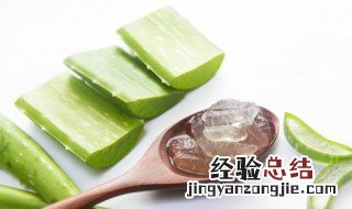 芦荟外用功效 芦荟外用功效与作用