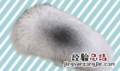 毛领子怎么清洗变蓬松 毛领子怎么清洗变蓬松一点