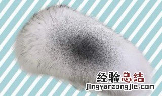 毛领子怎么清洗变蓬松 毛领子怎么清洗变蓬松一点