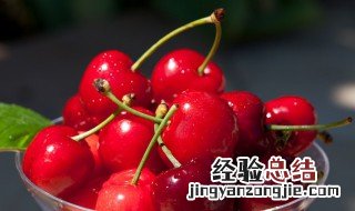 南方可以种樱桃吗 南方可以种樱桃吗视频