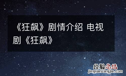 《狂飙》剧情介绍 电视剧《狂飙》